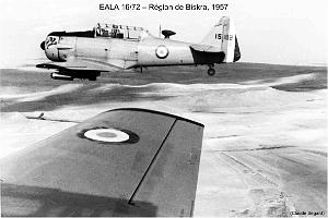 190- ARMEE DE L'AIR EN ALGERIE 1945-1962-38 (36)